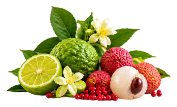 Top Notes: Lychee, Rhubarb, Bergamot